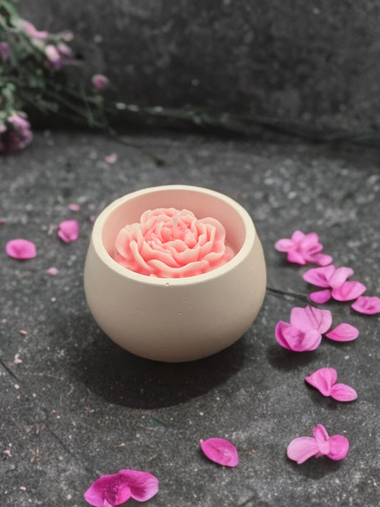 Peony Pearl